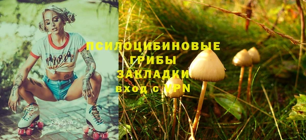 2c-b Аркадак