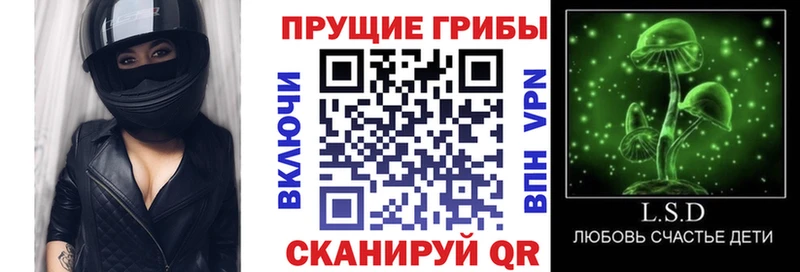 дарнет шоп ссылка на мегу маркетплейс Псилоцибиновые грибы Magic Shrooms Уссурийск